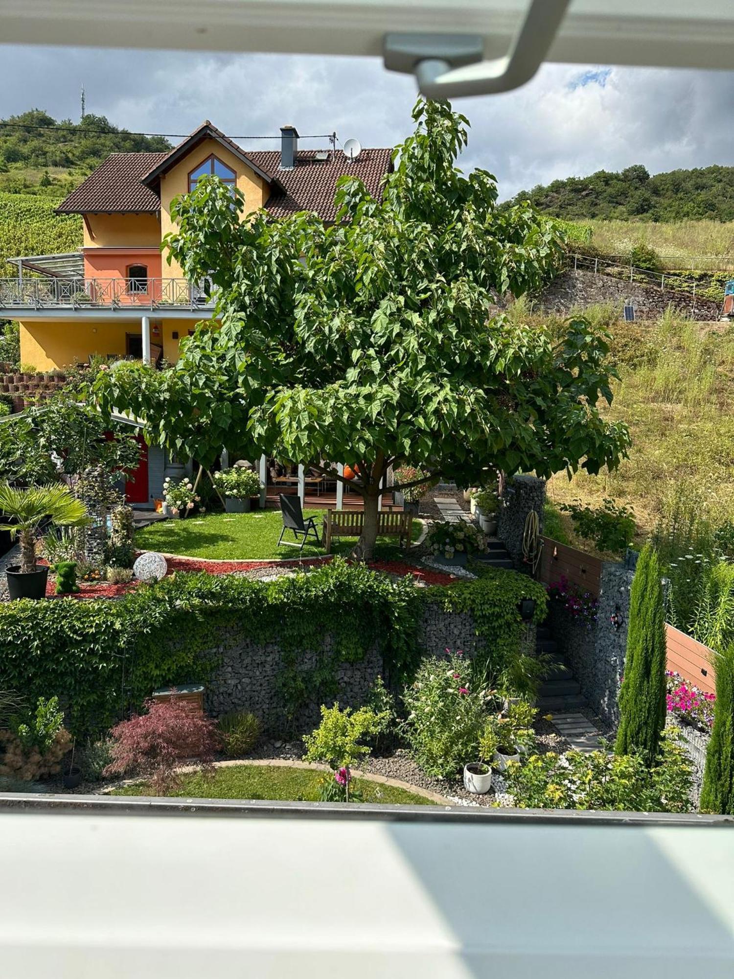 Ferienwohnung Anga Мюден Экстерьер фото